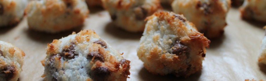 Chocolate Chip Polar Bear&nbsp;Truffles
