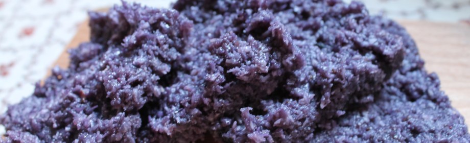 Blueberry Coconut Burfi